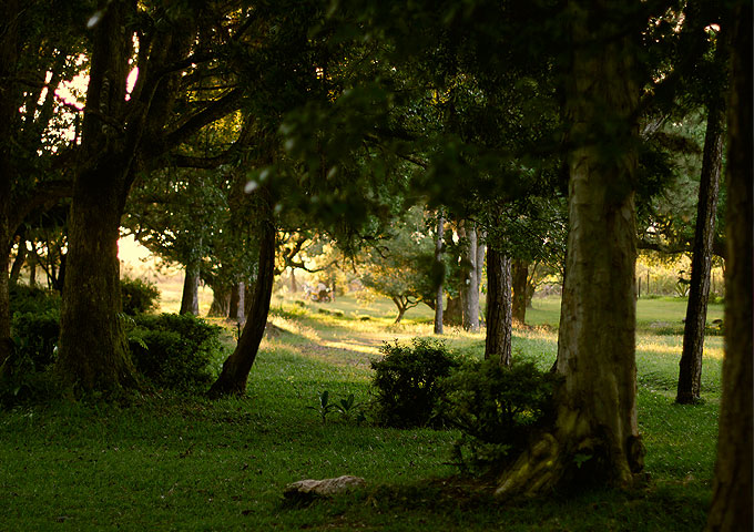 Park Mauritius Curpipe